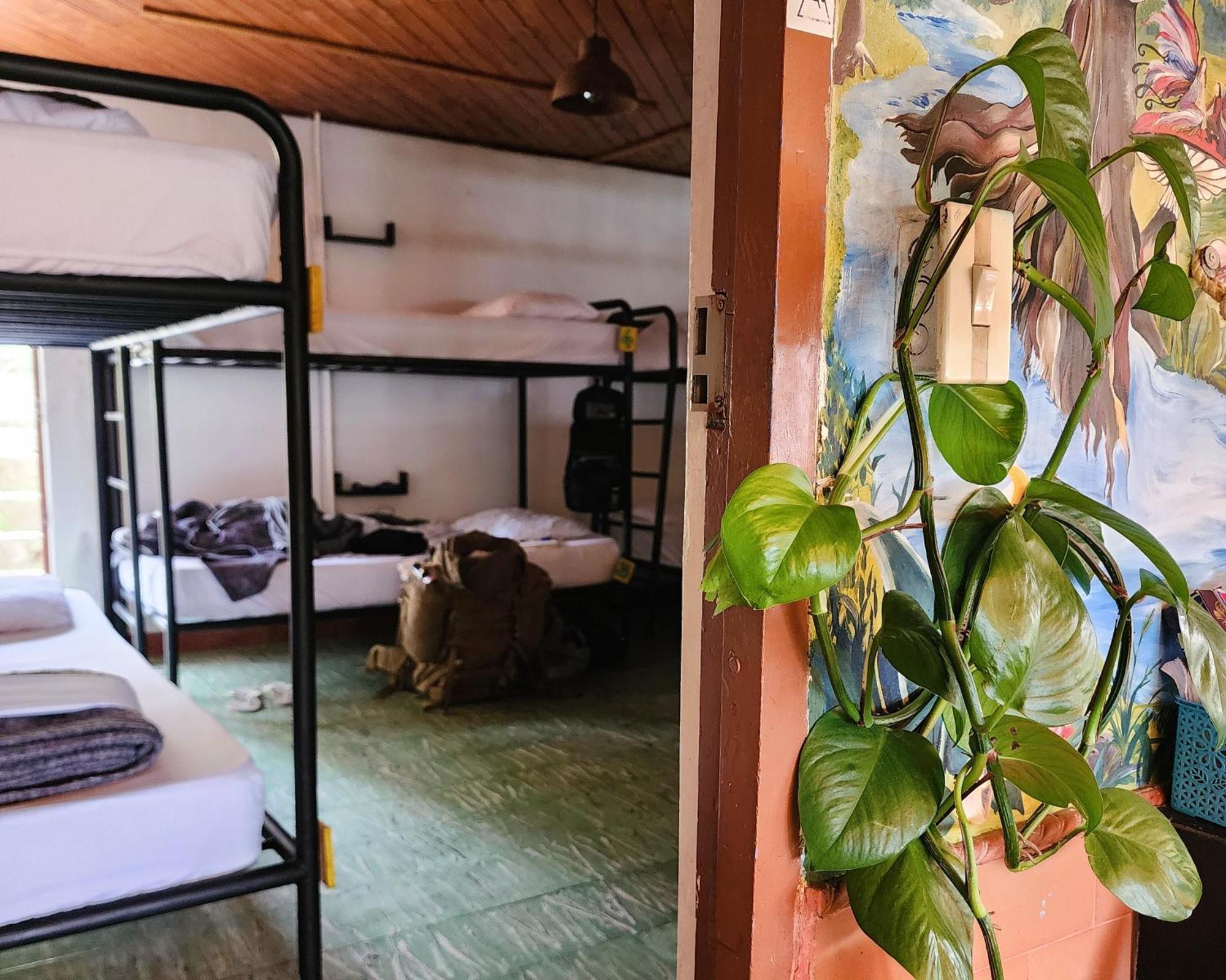 Casa Kayam Art Hostel Coliving Coworking Гуатапе Экстерьер фото